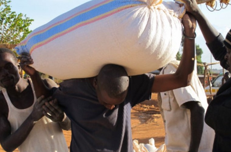 Maize Millers Forced To Shut Down Amid Unga Price Increase